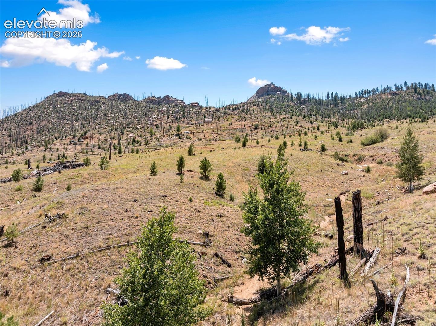 Land in Woodland Park 4