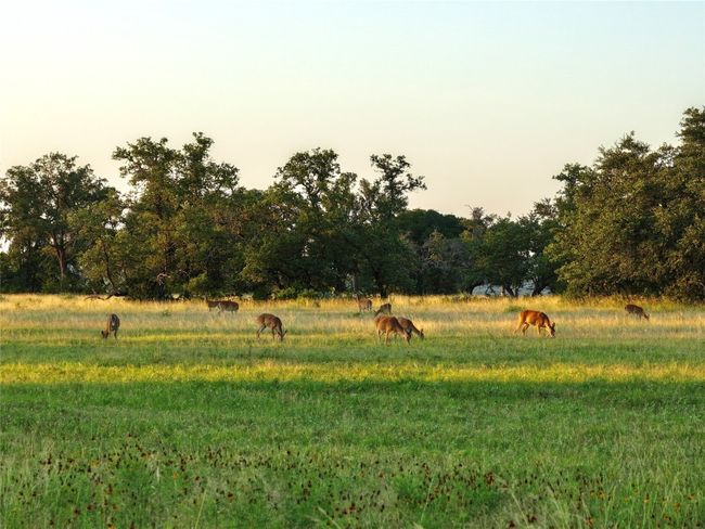 View of yard featuring a rural view | Image 27
