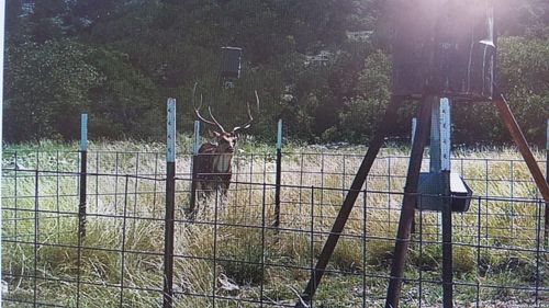 2190 Cr 650, Rocksprings, TX, 78880 | Card Image