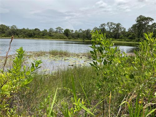 TBD Lot 58 Malauka Radial Trail, OCKLAWAHA, FL, 32179 | Card Image