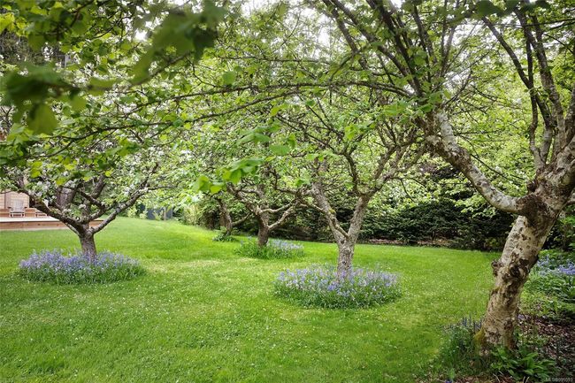 585 Wildwood Cres, House other with 1 bedrooms, 1 bathrooms and 3 parking in Gabriola Island BC | Image 43