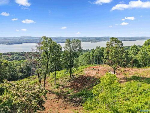 423 Keene Point Drive, Grant, AL, 35747 | Card Image