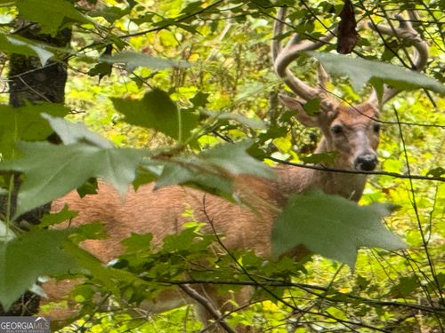 29.61 Irby Rd, Gibson, GA, 30810 | Card Image