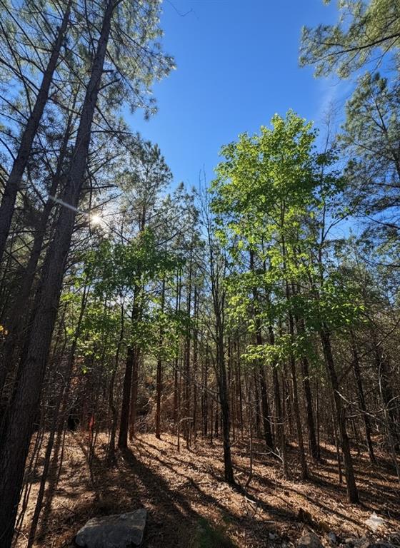 Land in Broken Bow 2