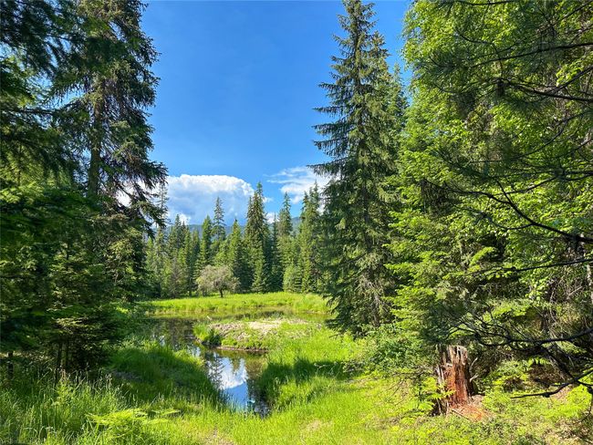 32 Whitepine Creek Rd, House other with 2 bedrooms, 2 bathrooms and null parking in Trout Creek MT | Image 67