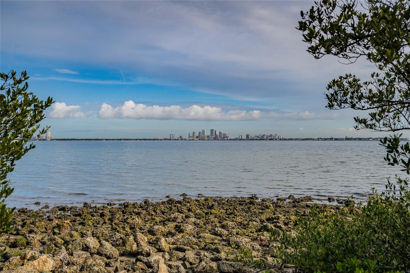 Land in TAMPA
