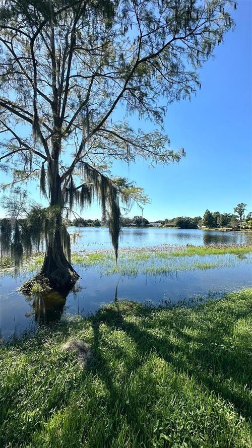 16669 Brigadoon Dr, Tampa, FL, 33618-1030 | Card Image