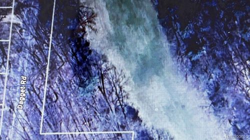 Dagett Hillis Road, Pierson Township, MI, 49339 | Card Image