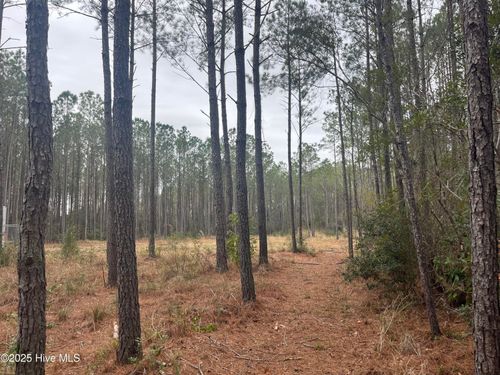 12043 Nc Highway 304, Bayboro, NC, 28515-9141 | Card Image