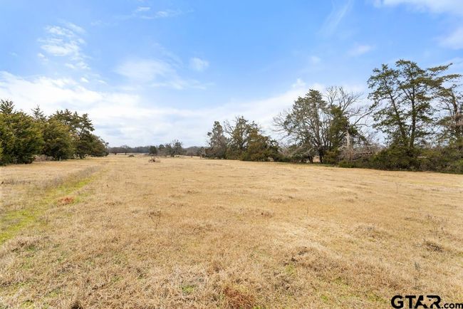 15037 State Highway 110, Home with 0 bedrooms, 0 bathrooms and null parking in Van TX | Image 34