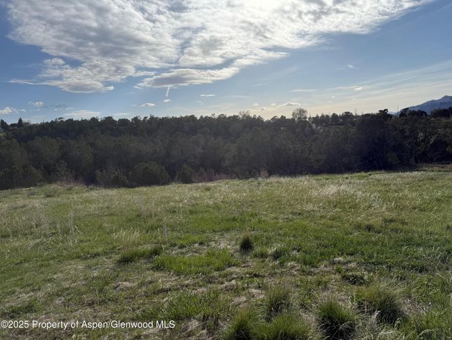 14495 N Scott Loop, Home with 0 bedrooms, 0 bathrooms and null parking in Collbran CO | Image 8