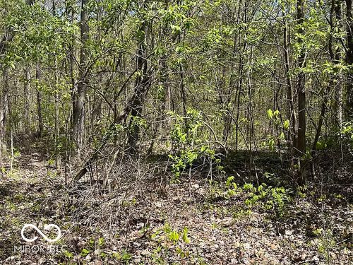 0 W Cottonwood Rd, Morgantown, IN, 46160 | Card Image