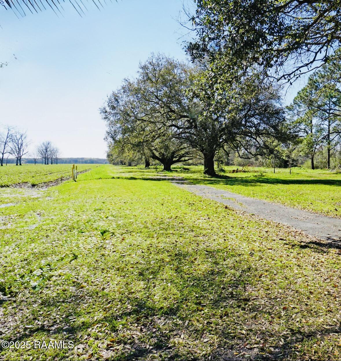 Land in Breaux Bridge