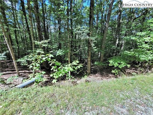 118 S Hickory Ln, Beech Mountain, NC, 28604-8207 | Card Image
