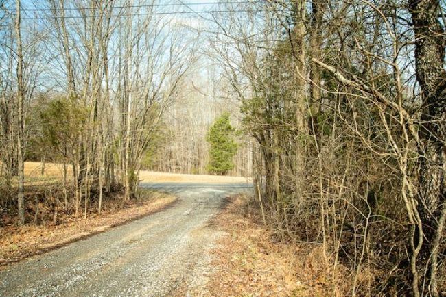 13300 Scottsville Rd, Home with 0 bedrooms, 0 bathrooms and null parking in Lucas KY | Image 19