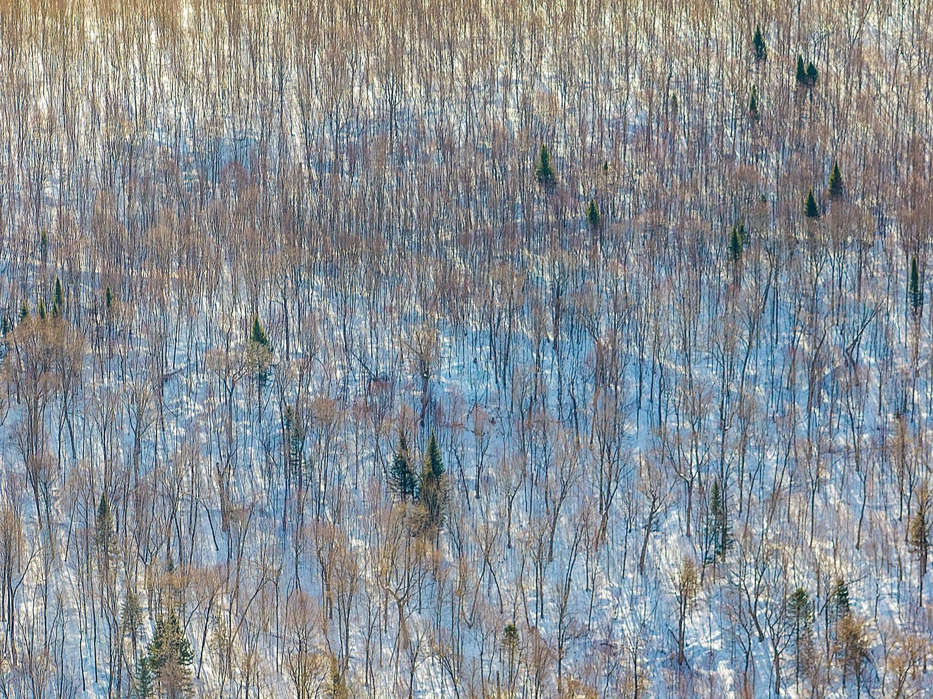 Land in Rivière-Rouge