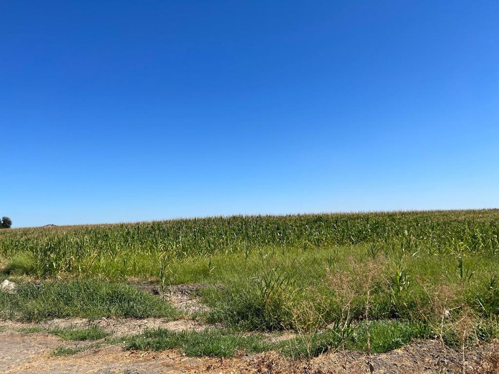 Land in Tracy 2