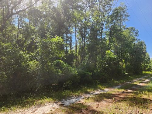 Lot 237 Nw 23rd Ave, Jasper, FL, 32052 | Card Image