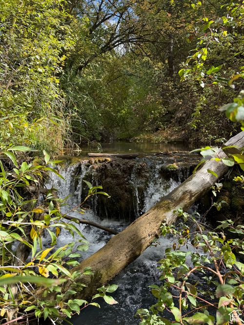 d13-13 Birch Creek Rd, Fairview, UT, 84629 | Card Image