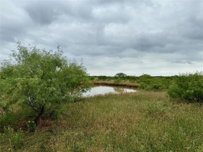 0000 Turtle Hole Rd, Home with 0 bedrooms, 0 bathrooms and null parking in Graham TX | Image 31