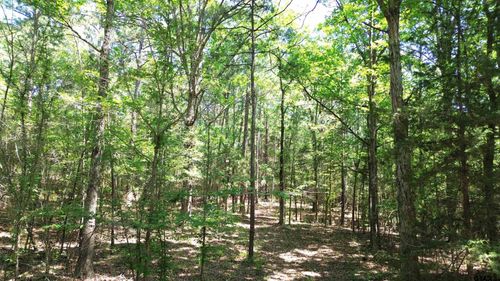 TBD County Road 4720, Kennard, TX, 75847 | Card Image