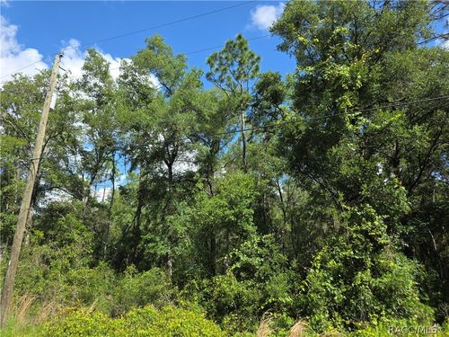 3669 E Baxley Place, Inverness, FL, 34453 | Card Image