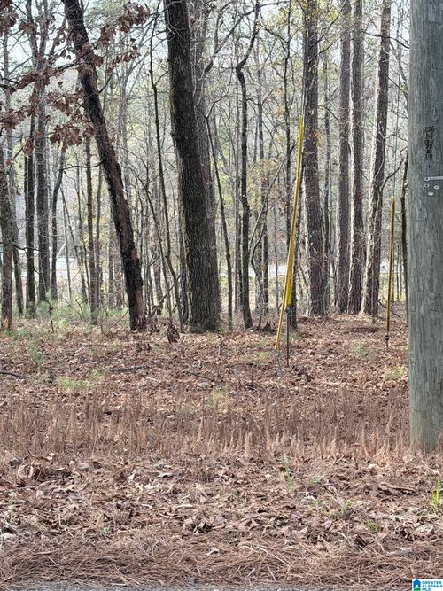 5-0 Renfroe Rd, ALPINE, AL, 35014 | Card Image