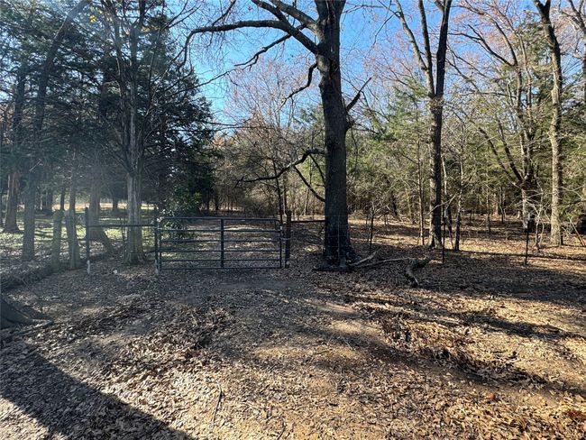 leading to woods on property | Image 33