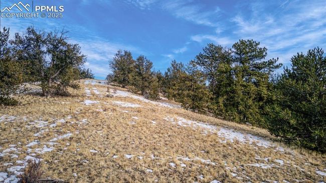 13 Buckhorn Trl, Home with 0 bedrooms, 0 bathrooms and null parking in GUFFEY CO | Image 4