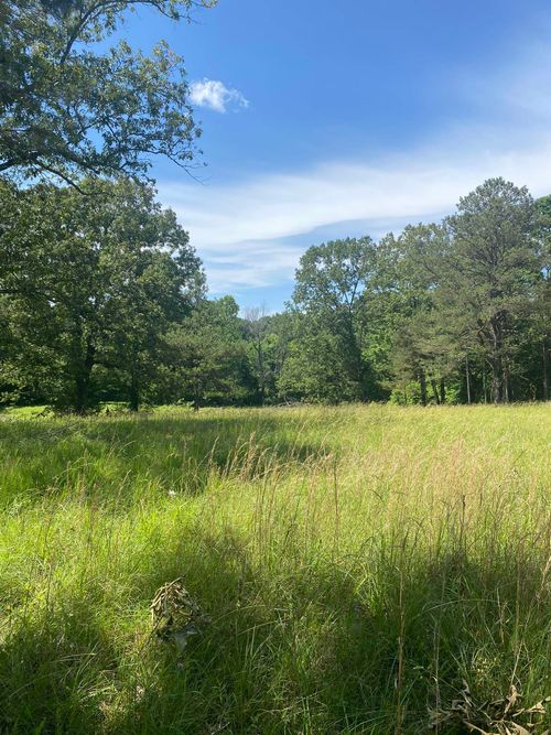 000 Todd Ln, Bolivar, TN, 38008 | Card Image