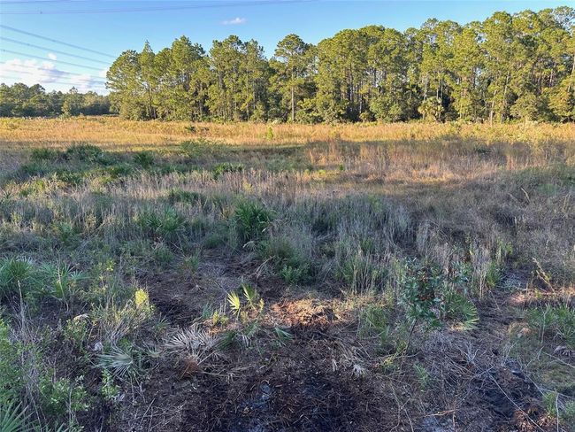 Back 2.5 acres of pasture | Image 10