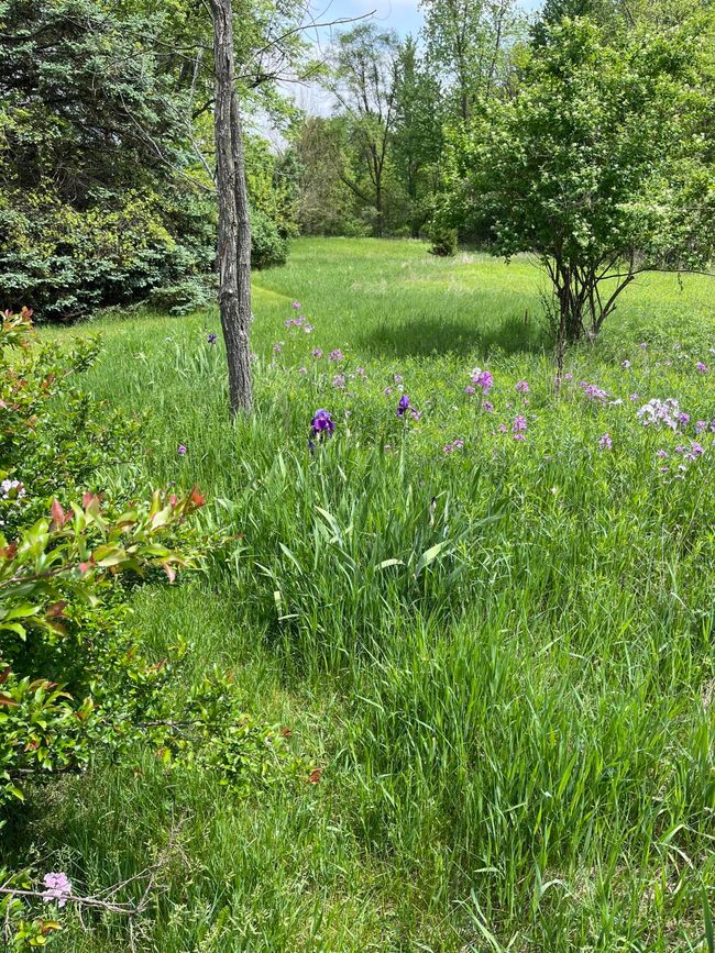 789 7 Th St, House other with 3 bedrooms, 1 bathrooms and null parking in Plainwell MI | Image 36