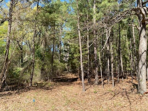 TBD Armadillo, Murchison, TX, 75778 | Card Image