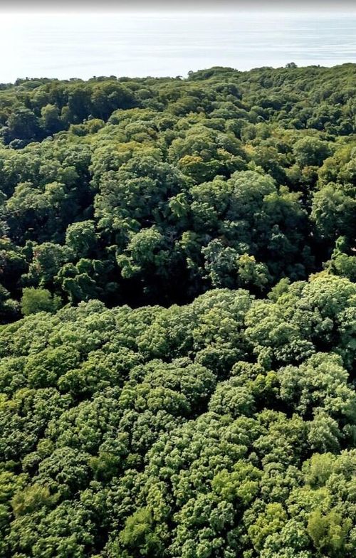 lot-12879 Lakeshore Dr, Grand Haven, MI, 49417-9650 | Card Image