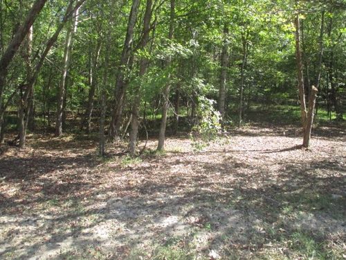 0 Reese Rd, Bethpage, TN, 37022 | Card Image