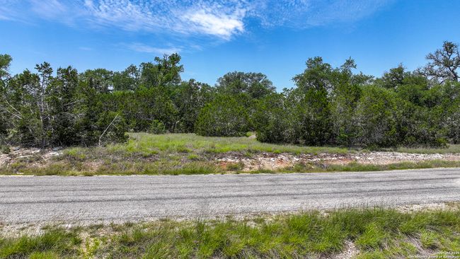 314 Serenity Pass, Home with 0 bedrooms, 0 bathrooms and null parking in Spring Branch TX | Image 19