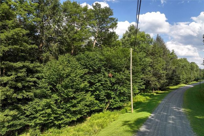 View of street | Image 19