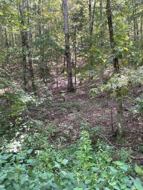 Land in Broken Bow 3