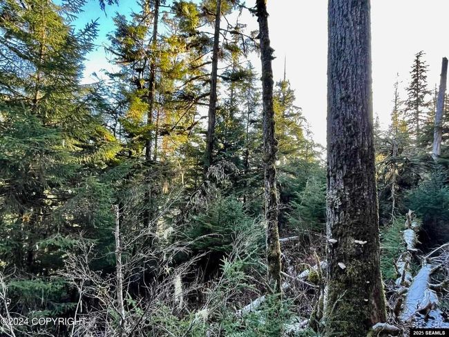 L9 B5 Beach Road, Home with 0 bedrooms, 0 bathrooms and null parking in Whale Pass AK | Image 4