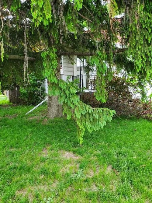 314 W 2nd St, Hamilton, ON, L9C3H2 | Card Image