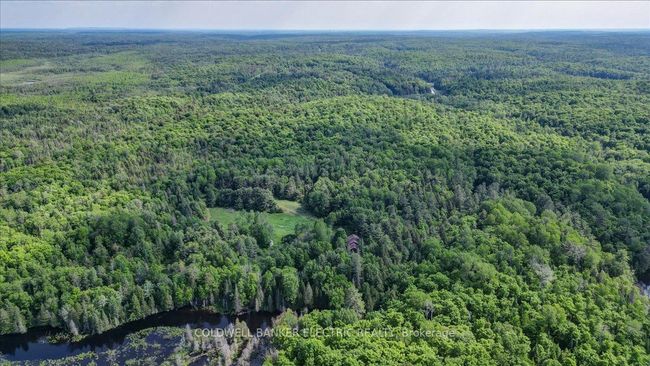12642 Highway 28, House other with 3 bedrooms, 2 bathrooms and 8 parking in Apsley ON | Image 45
