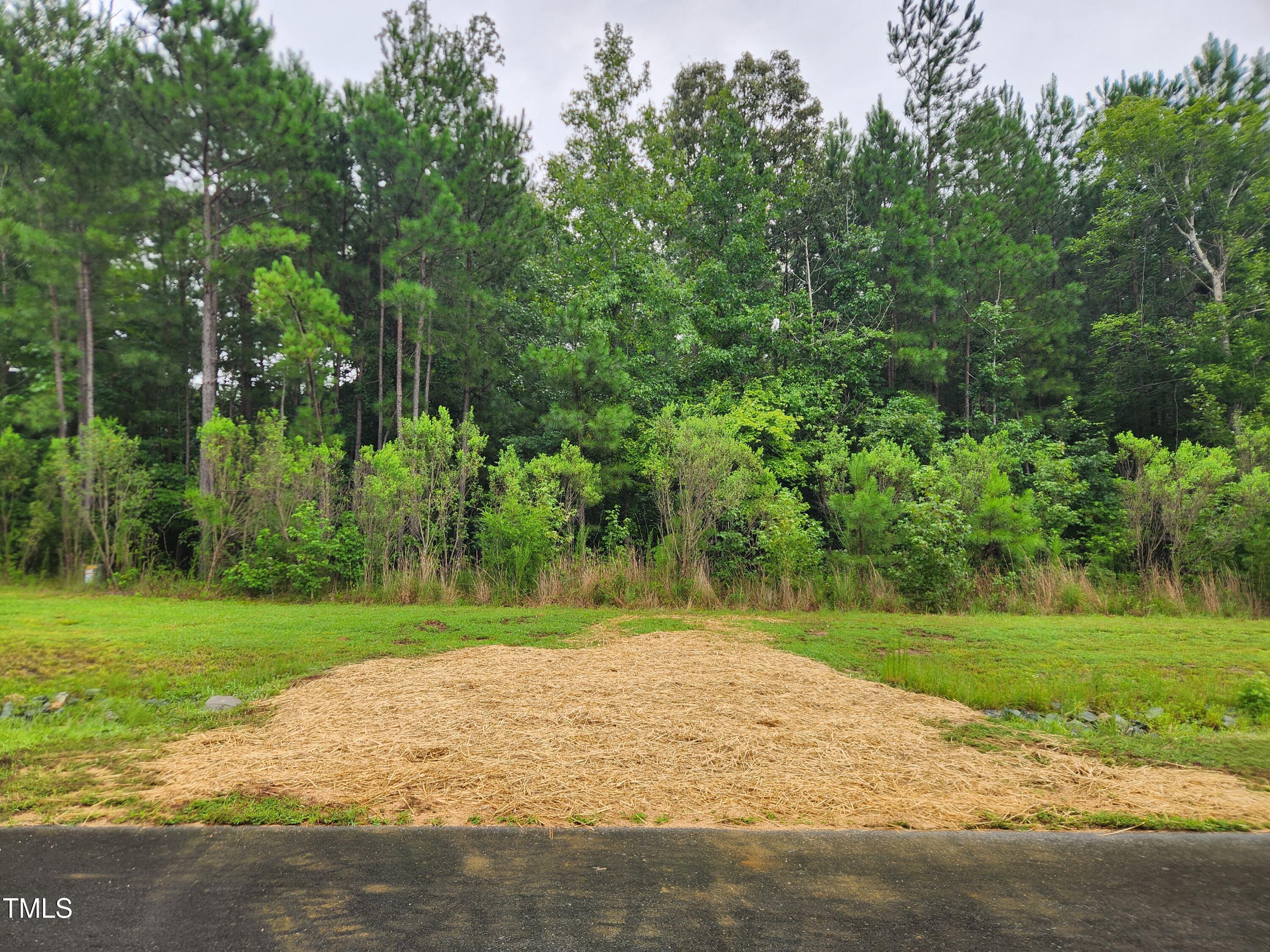Land in Pittsboro 3