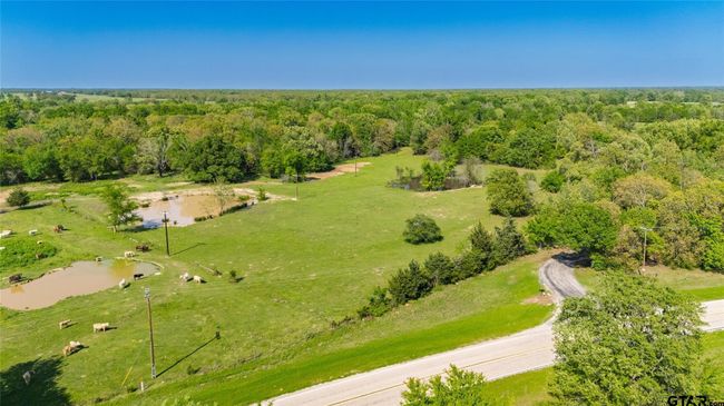 72 Acres N Farm Road 900, Home with 0 bedrooms, 0 bathrooms and null parking in Saltillo TX | Image 13