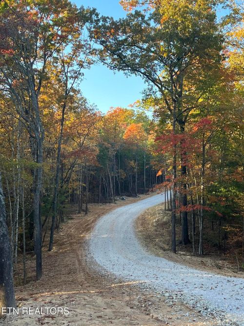 104 Cherokee Path, Tellico Plains, TN, 37385 | Card Image