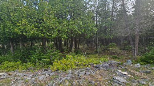 LT 254 Dorcas Bay Rd, Tobermory, ON, N0H2R0 | Card Image