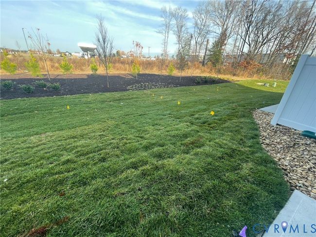 View of green lawn | Image 8