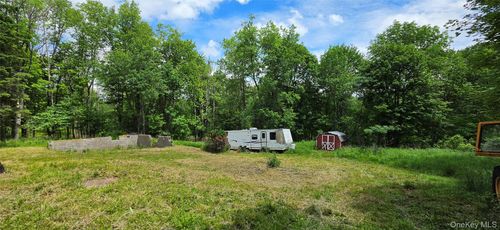 208 Parksville Rd, Parksville, NY, 12768-4002 | Card Image