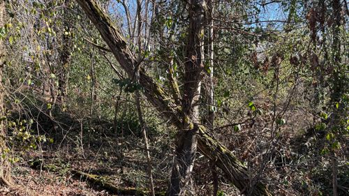 0 Skyline Park Dr, Signal Mountain, TN, 37377 | Card Image