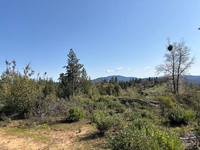 19292 Shawnee Trl, Home with 0 bedrooms, 0 bathrooms and null parking in Mokelumne Hill CA | Image 57