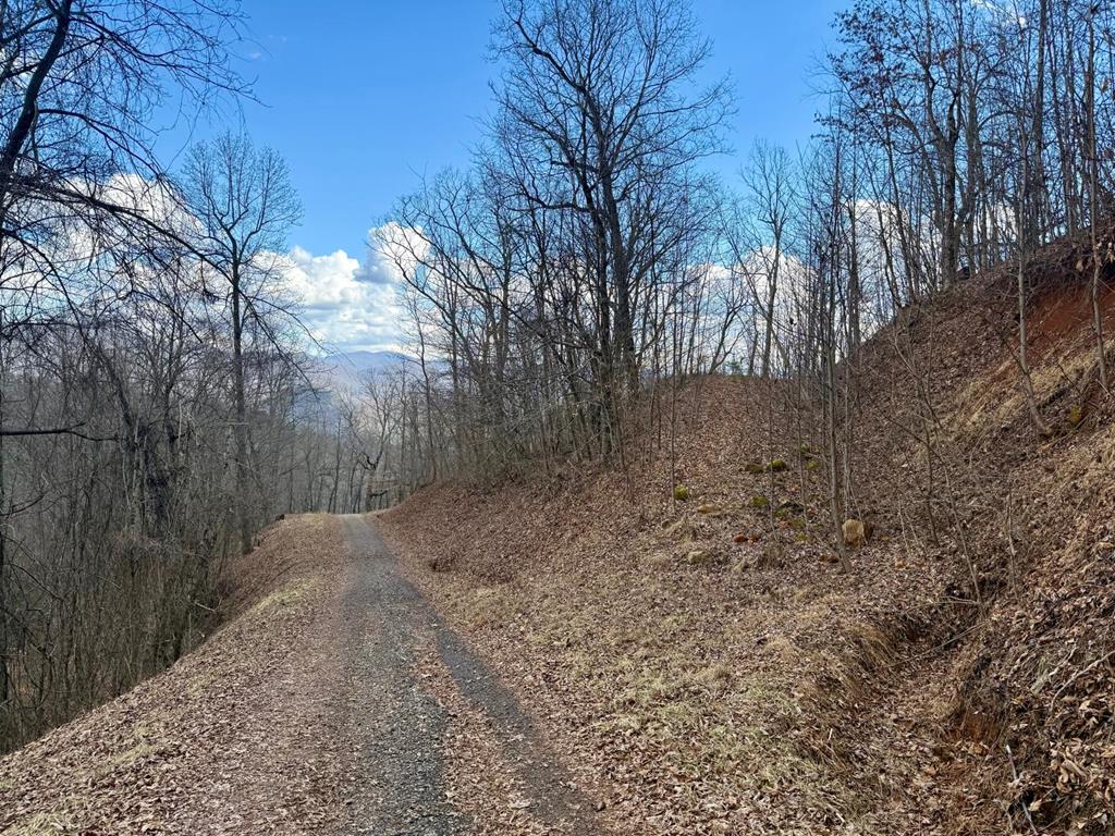 Land in Franklin 2